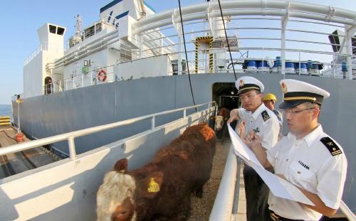 南美白對蝦進口報關清關全流程指導與國內貿易代理服務方案